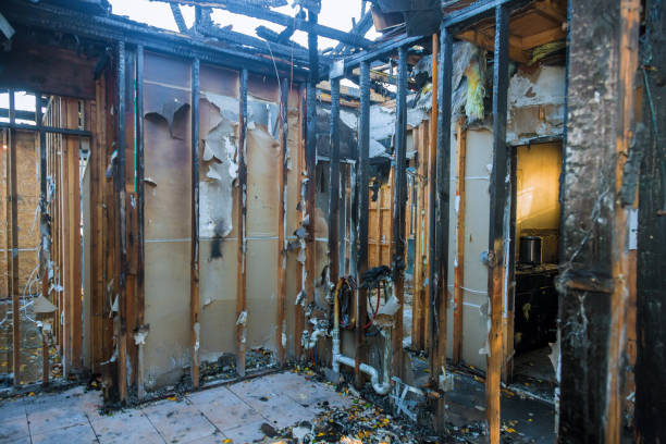 Professional Fire Damage Removal technician working in Potomac Heights, MD